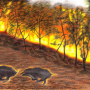 forest_fire.png