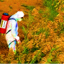 spray_pesticide_v2.png